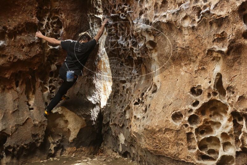 Bouldering in Hueco Tanks on 02/02/2019 with Blue Lizard Climbing and Yoga

Filename: SRM_20190202_1502341.jpg
Aperture: f/3.5
Shutter Speed: 1/125
Body: Canon EOS-1D Mark II
Lens: Canon EF 50mm f/1.8 II