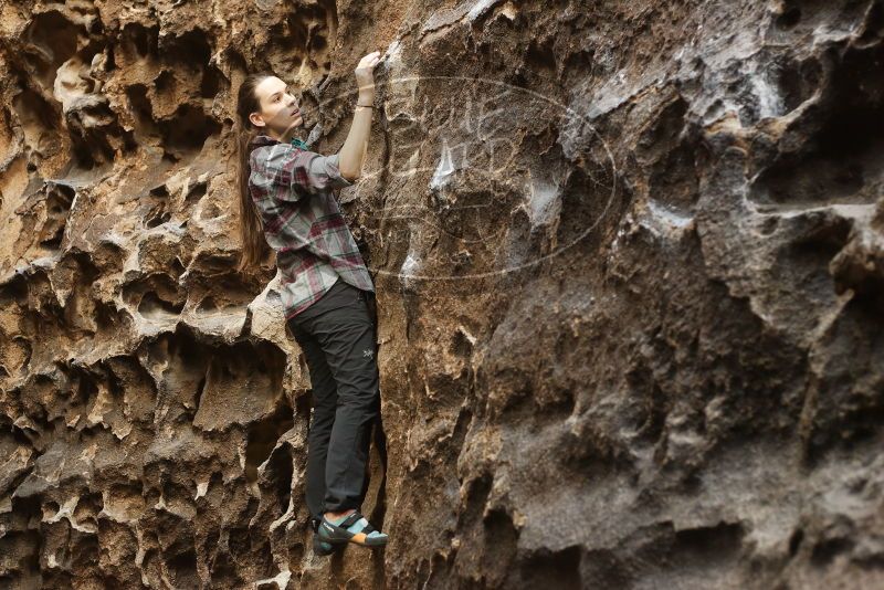 Bouldering in Hueco Tanks on 02/02/2019 with Blue Lizard Climbing and Yoga

Filename: SRM_20190202_1504290.jpg
Aperture: f/3.5
Shutter Speed: 1/160
Body: Canon EOS-1D Mark II
Lens: Canon EF 50mm f/1.8 II