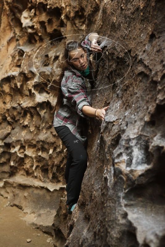 Bouldering in Hueco Tanks on 02/02/2019 with Blue Lizard Climbing and Yoga

Filename: SRM_20190202_1505260.jpg
Aperture: f/3.5
Shutter Speed: 1/200
Body: Canon EOS-1D Mark II
Lens: Canon EF 50mm f/1.8 II