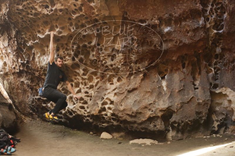 Bouldering in Hueco Tanks on 02/02/2019 with Blue Lizard Climbing and Yoga

Filename: SRM_20190202_1508550.jpg
Aperture: f/3.5
Shutter Speed: 1/100
Body: Canon EOS-1D Mark II
Lens: Canon EF 50mm f/1.8 II