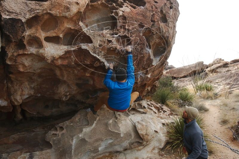 Bouldering in Hueco Tanks on 02/09/2019 with Blue Lizard Climbing and Yoga

Filename: SRM_20190209_0953150.jpg
Aperture: f/5.6
Shutter Speed: 1/640
Body: Canon EOS-1D Mark II
Lens: Canon EF 16-35mm f/2.8 L