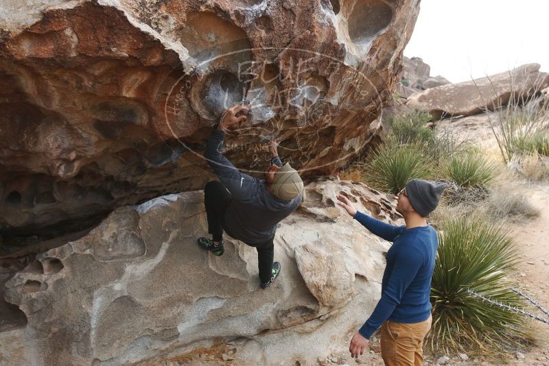 Bouldering in Hueco Tanks on 02/09/2019 with Blue Lizard Climbing and Yoga

Filename: SRM_20190209_0957570.jpg
Aperture: f/5.6
Shutter Speed: 1/400
Body: Canon EOS-1D Mark II
Lens: Canon EF 16-35mm f/2.8 L