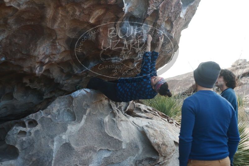 Bouldering in Hueco Tanks on 02/09/2019 with Blue Lizard Climbing and Yoga

Filename: SRM_20190209_1017060.jpg
Aperture: f/3.5
Shutter Speed: 1/320
Body: Canon EOS-1D Mark II
Lens: Canon EF 50mm f/1.8 II