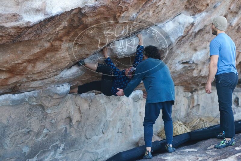 Bouldering in Hueco Tanks on 02/09/2019 with Blue Lizard Climbing and Yoga

Filename: SRM_20190209_1037260.jpg
Aperture: f/3.2
Shutter Speed: 1/320
Body: Canon EOS-1D Mark II
Lens: Canon EF 50mm f/1.8 II