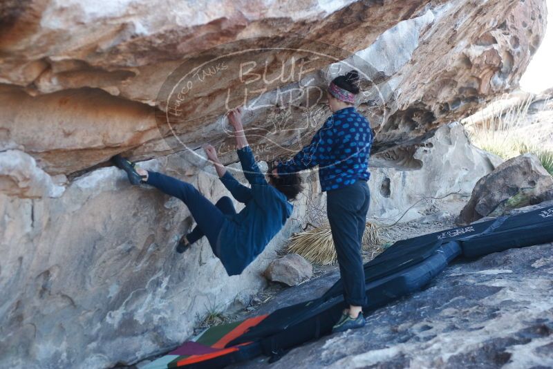 Bouldering in Hueco Tanks on 02/09/2019 with Blue Lizard Climbing and Yoga

Filename: SRM_20190209_1043470.jpg
Aperture: f/3.2
Shutter Speed: 1/320
Body: Canon EOS-1D Mark II
Lens: Canon EF 50mm f/1.8 II