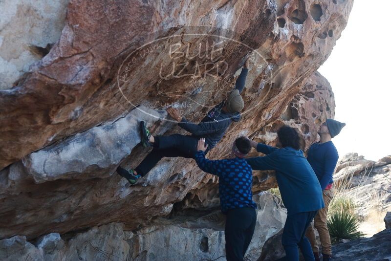 Bouldering in Hueco Tanks on 02/09/2019 with Blue Lizard Climbing and Yoga

Filename: SRM_20190209_1046570.jpg
Aperture: f/4.0
Shutter Speed: 1/640
Body: Canon EOS-1D Mark II
Lens: Canon EF 50mm f/1.8 II