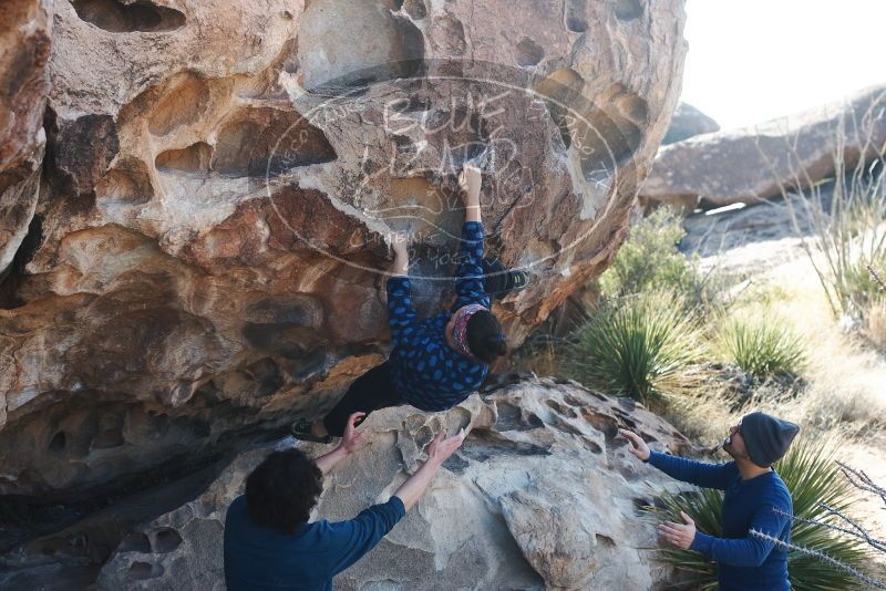 Bouldering in Hueco Tanks on 02/09/2019 with Blue Lizard Climbing and Yoga

Filename: SRM_20190209_1103560.jpg
Aperture: f/4.0
Shutter Speed: 1/500
Body: Canon EOS-1D Mark II
Lens: Canon EF 50mm f/1.8 II