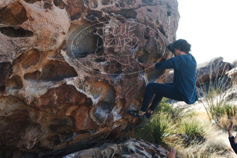 Bouldering in Hueco Tanks on 02/09/2019 with Blue Lizard Climbing and Yoga

Filename: SRM_20190209_1107160.jpg
Aperture: f/4.0
Shutter Speed: 1/1000
Body: Canon EOS-1D Mark II
Lens: Canon EF 50mm f/1.8 II