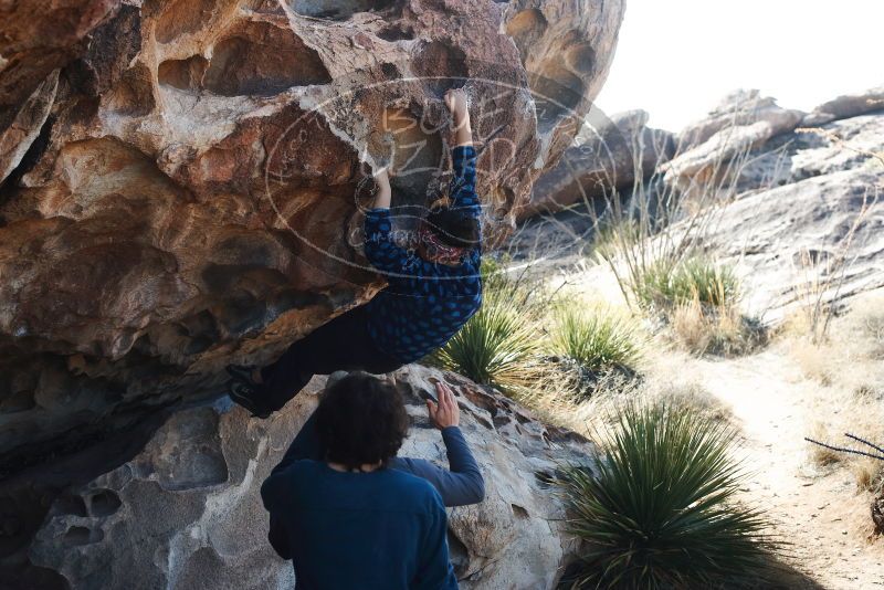 Bouldering in Hueco Tanks on 02/09/2019 with Blue Lizard Climbing and Yoga

Filename: SRM_20190209_1111210.jpg
Aperture: f/4.0
Shutter Speed: 1/640
Body: Canon EOS-1D Mark II
Lens: Canon EF 50mm f/1.8 II