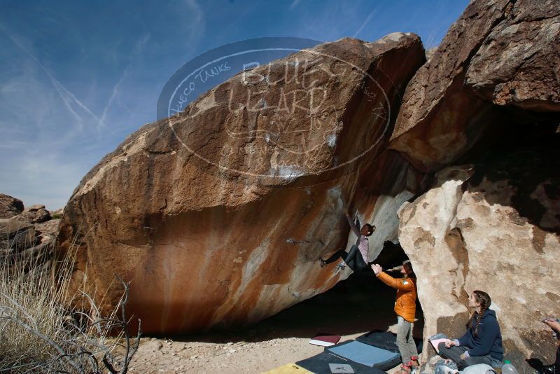 Bouldering in Hueco Tanks on 02/09/2019 with Blue Lizard Climbing and Yoga

Filename: SRM_20190209_1203250.jpg
Aperture: f/5.6
Shutter Speed: 1/250
Body: Canon EOS-1D Mark II
Lens: Canon EF 16-35mm f/2.8 L