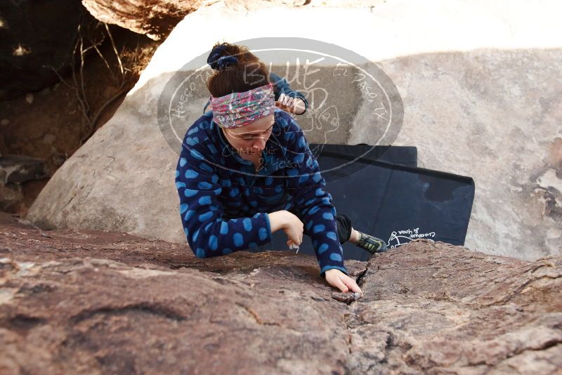 Bouldering in Hueco Tanks on 02/09/2019 with Blue Lizard Climbing and Yoga

Filename: SRM_20190209_1219150.jpg
Aperture: f/4.5
Shutter Speed: 1/250
Body: Canon EOS-1D Mark II
Lens: Canon EF 16-35mm f/2.8 L