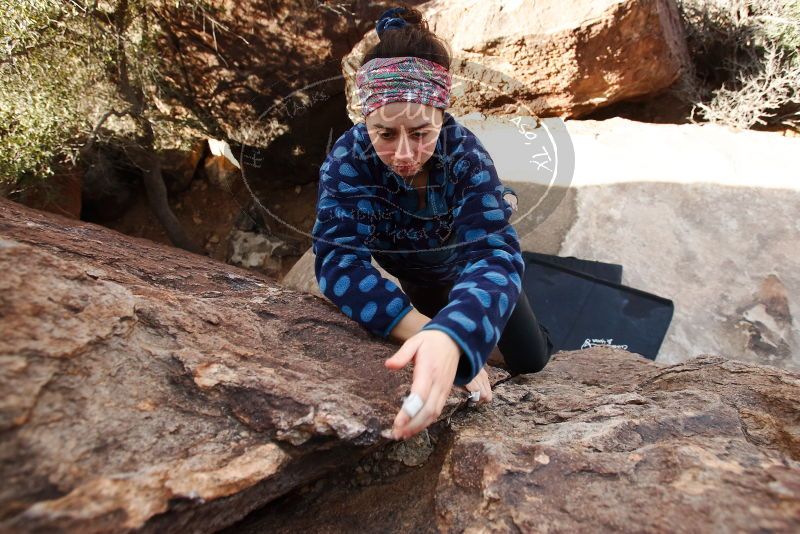 Bouldering in Hueco Tanks on 02/09/2019 with Blue Lizard Climbing and Yoga

Filename: SRM_20190209_1219410.jpg
Aperture: f/4.5
Shutter Speed: 1/250
Body: Canon EOS-1D Mark II
Lens: Canon EF 16-35mm f/2.8 L