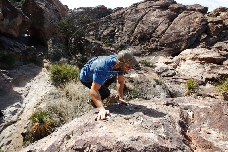 Bouldering in Hueco Tanks on 02/09/2019 with Blue Lizard Climbing and Yoga

Filename: SRM_20190209_1223160.jpg
Aperture: f/10.0
Shutter Speed: 1/160
Body: Canon EOS-1D Mark II
Lens: Canon EF 16-35mm f/2.8 L