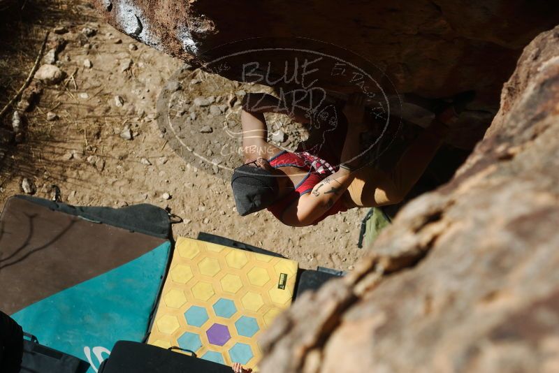 Bouldering in Hueco Tanks on 02/09/2019 with Blue Lizard Climbing and Yoga

Filename: SRM_20190209_1242480.jpg
Aperture: f/4.0
Shutter Speed: 1/2000
Body: Canon EOS-1D Mark II
Lens: Canon EF 50mm f/1.8 II