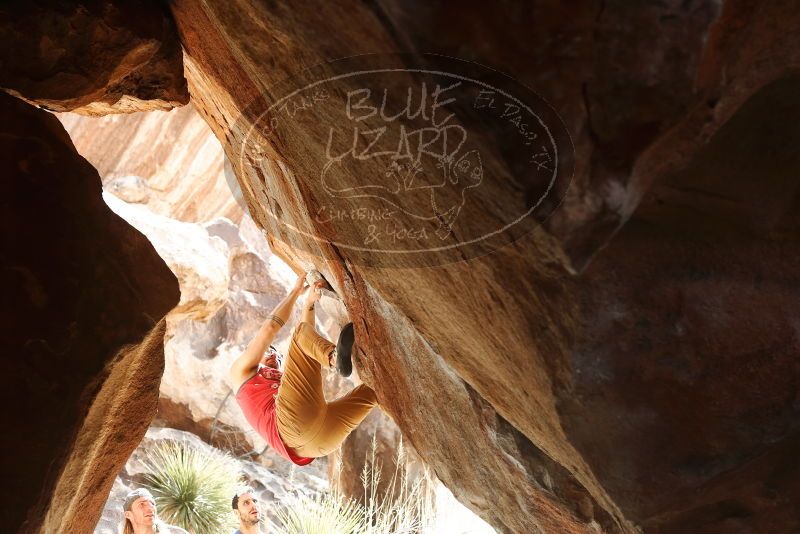 Bouldering in Hueco Tanks on 02/09/2019 with Blue Lizard Climbing and Yoga

Filename: SRM_20190209_1303150.jpg
Aperture: f/4.0
Shutter Speed: 1/250
Body: Canon EOS-1D Mark II
Lens: Canon EF 50mm f/1.8 II