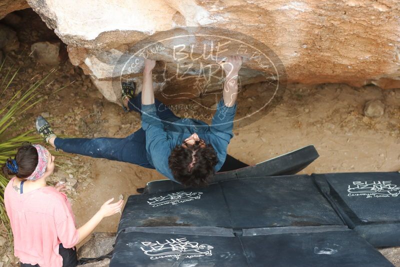 Bouldering in Hueco Tanks on 02/09/2019 with Blue Lizard Climbing and Yoga

Filename: SRM_20190209_1516170.jpg
Aperture: f/4.0
Shutter Speed: 1/250
Body: Canon EOS-1D Mark II
Lens: Canon EF 50mm f/1.8 II