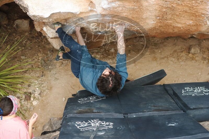 Bouldering in Hueco Tanks on 02/09/2019 with Blue Lizard Climbing and Yoga

Filename: SRM_20190209_1516200.jpg
Aperture: f/4.0
Shutter Speed: 1/250
Body: Canon EOS-1D Mark II
Lens: Canon EF 50mm f/1.8 II