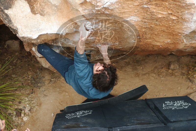 Bouldering in Hueco Tanks on 02/09/2019 with Blue Lizard Climbing and Yoga

Filename: SRM_20190209_1516240.jpg
Aperture: f/4.0
Shutter Speed: 1/320
Body: Canon EOS-1D Mark II
Lens: Canon EF 50mm f/1.8 II