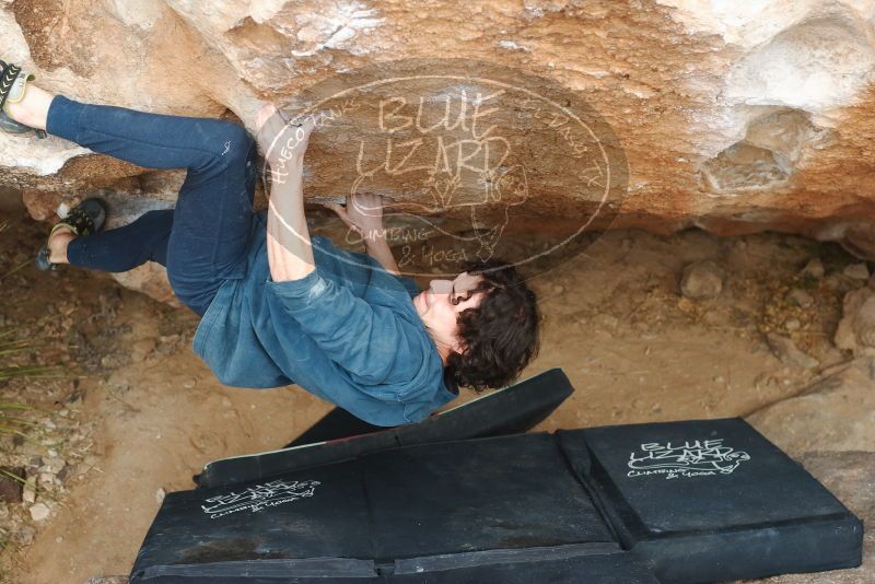 Bouldering in Hueco Tanks on 02/09/2019 with Blue Lizard Climbing and Yoga

Filename: SRM_20190209_1516290.jpg
Aperture: f/4.0
Shutter Speed: 1/320
Body: Canon EOS-1D Mark II
Lens: Canon EF 50mm f/1.8 II