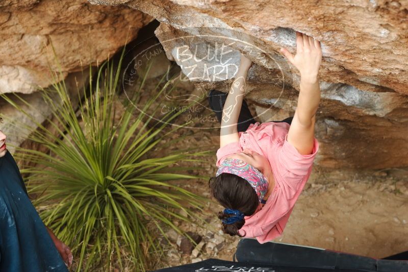 Bouldering in Hueco Tanks on 02/09/2019 with Blue Lizard Climbing and Yoga

Filename: SRM_20190209_1519060.jpg
Aperture: f/4.0
Shutter Speed: 1/200
Body: Canon EOS-1D Mark II
Lens: Canon EF 50mm f/1.8 II