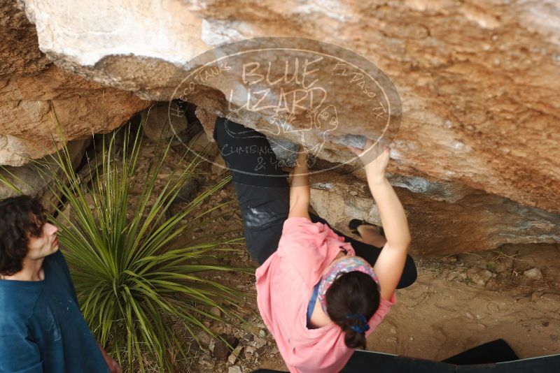 Bouldering in Hueco Tanks on 02/09/2019 with Blue Lizard Climbing and Yoga

Filename: SRM_20190209_1519150.jpg
Aperture: f/4.0
Shutter Speed: 1/320
Body: Canon EOS-1D Mark II
Lens: Canon EF 50mm f/1.8 II