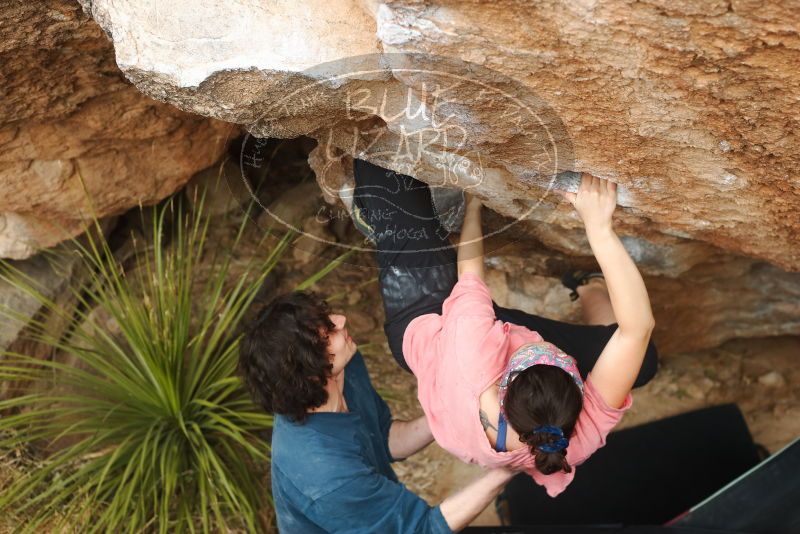 Bouldering in Hueco Tanks on 02/09/2019 with Blue Lizard Climbing and Yoga

Filename: SRM_20190209_1520290.jpg
Aperture: f/4.0
Shutter Speed: 1/320
Body: Canon EOS-1D Mark II
Lens: Canon EF 50mm f/1.8 II