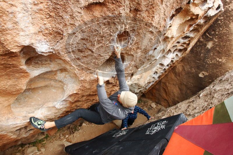 Bouldering in Hueco Tanks on 02/09/2019 with Blue Lizard Climbing and Yoga

Filename: SRM_20190209_1546310.jpg
Aperture: f/5.6
Shutter Speed: 1/320
Body: Canon EOS-1D Mark II
Lens: Canon EF 16-35mm f/2.8 L