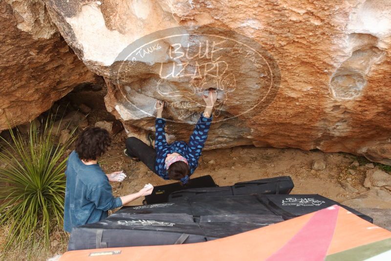 Bouldering in Hueco Tanks on 02/09/2019 with Blue Lizard Climbing and Yoga

Filename: SRM_20190209_1558200.jpg
Aperture: f/5.6
Shutter Speed: 1/200
Body: Canon EOS-1D Mark II
Lens: Canon EF 16-35mm f/2.8 L