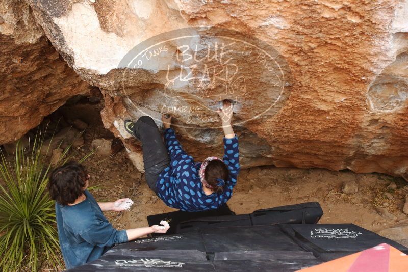 Bouldering in Hueco Tanks on 02/09/2019 with Blue Lizard Climbing and Yoga

Filename: SRM_20190209_1558230.jpg
Aperture: f/5.6
Shutter Speed: 1/200
Body: Canon EOS-1D Mark II
Lens: Canon EF 16-35mm f/2.8 L