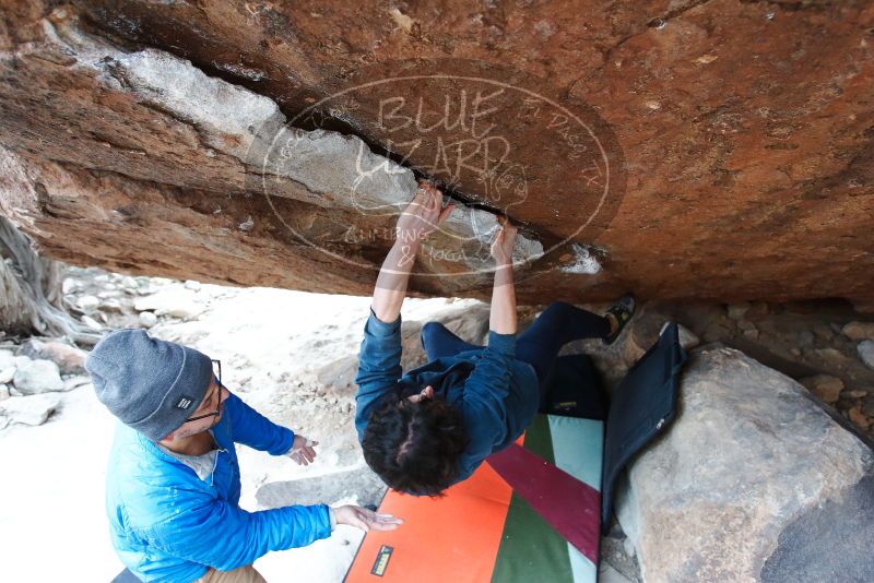 Bouldering in Hueco Tanks on 02/09/2019 with Blue Lizard Climbing and Yoga

Filename: SRM_20190209_1722190.jpg
Aperture: f/4.0
Shutter Speed: 1/250
Body: Canon EOS-1D Mark II
Lens: Canon EF 16-35mm f/2.8 L