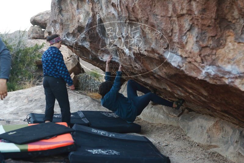 Bouldering in Hueco Tanks on 02/09/2019 with Blue Lizard Climbing and Yoga

Filename: SRM_20190209_1814240.jpg
Aperture: f/3.5
Shutter Speed: 1/250
Body: Canon EOS-1D Mark II
Lens: Canon EF 50mm f/1.8 II