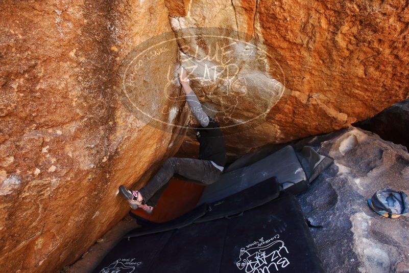 Bouldering in Hueco Tanks on 02/17/2019 with Blue Lizard Climbing and Yoga

Filename: SRM_20190217_1216500.jpg
Aperture: f/4.5
Shutter Speed: 1/320
Body: Canon EOS-1D Mark II
Lens: Canon EF 16-35mm f/2.8 L