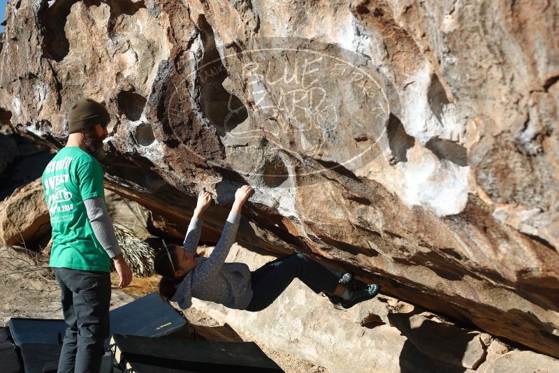 Bouldering in Hueco Tanks on 02/22/2019 with Blue Lizard Climbing and Yoga

Filename: SRM_20190222_1017570.jpg
Aperture: f/4.0
Shutter Speed: 1/800
Body: Canon EOS-1D Mark II
Lens: Canon EF 50mm f/1.8 II