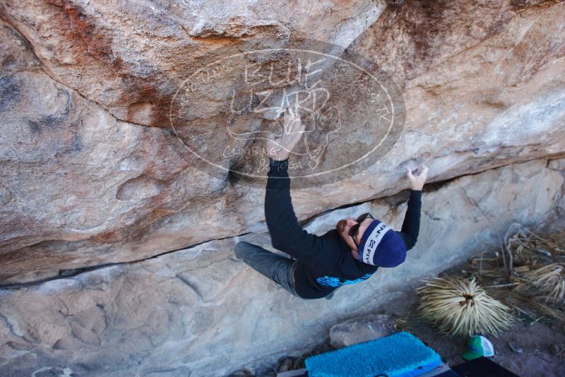 Bouldering in Hueco Tanks on 02/22/2019 with Blue Lizard Climbing and Yoga

Filename: SRM_20190222_1109520.jpg
Aperture: f/5.0
Shutter Speed: 1/200
Body: Canon EOS-1D Mark II
Lens: Canon EF 16-35mm f/2.8 L