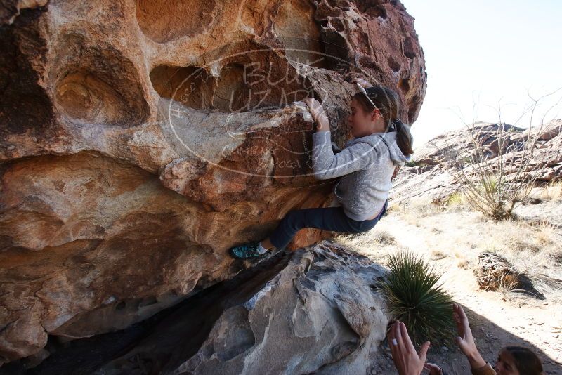 Bouldering in Hueco Tanks on 02/22/2019 with Blue Lizard Climbing and Yoga

Filename: SRM_20190222_1111180.jpg
Aperture: f/8.0
Shutter Speed: 1/250
Body: Canon EOS-1D Mark II
Lens: Canon EF 16-35mm f/2.8 L