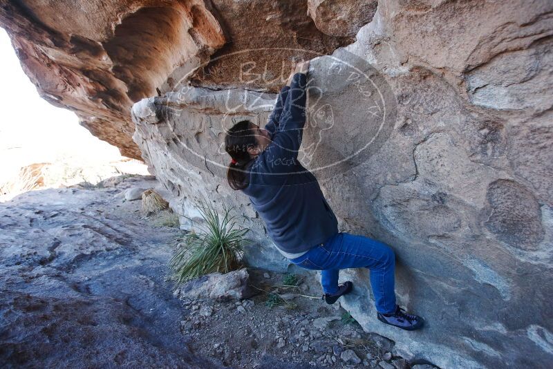 Bouldering in Hueco Tanks on 02/22/2019 with Blue Lizard Climbing and Yoga

Filename: SRM_20190222_1117450.jpg
Aperture: f/5.0
Shutter Speed: 1/320
Body: Canon EOS-1D Mark II
Lens: Canon EF 16-35mm f/2.8 L