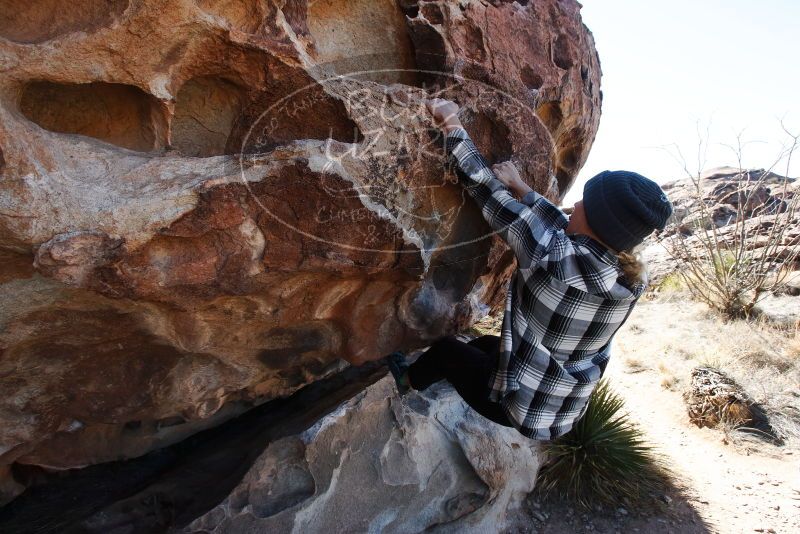 Bouldering in Hueco Tanks on 02/22/2019 with Blue Lizard Climbing and Yoga

Filename: SRM_20190222_1126220.jpg
Aperture: f/10.0
Shutter Speed: 1/250
Body: Canon EOS-1D Mark II
Lens: Canon EF 16-35mm f/2.8 L