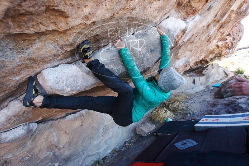 Bouldering in Hueco Tanks on 02/22/2019 with Blue Lizard Climbing and Yoga

Filename: SRM_20190222_1138320.jpg
Aperture: f/5.6
Shutter Speed: 1/250
Body: Canon EOS-1D Mark II
Lens: Canon EF 16-35mm f/2.8 L