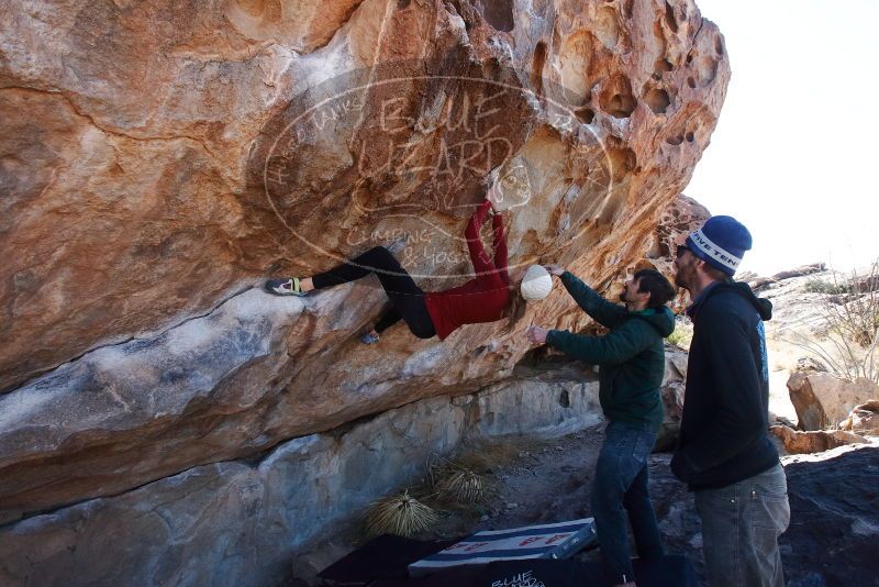 Bouldering in Hueco Tanks on 02/22/2019 with Blue Lizard Climbing and Yoga

Filename: SRM_20190222_1158330.jpg
Aperture: f/9.0
Shutter Speed: 1/250
Body: Canon EOS-1D Mark II
Lens: Canon EF 16-35mm f/2.8 L