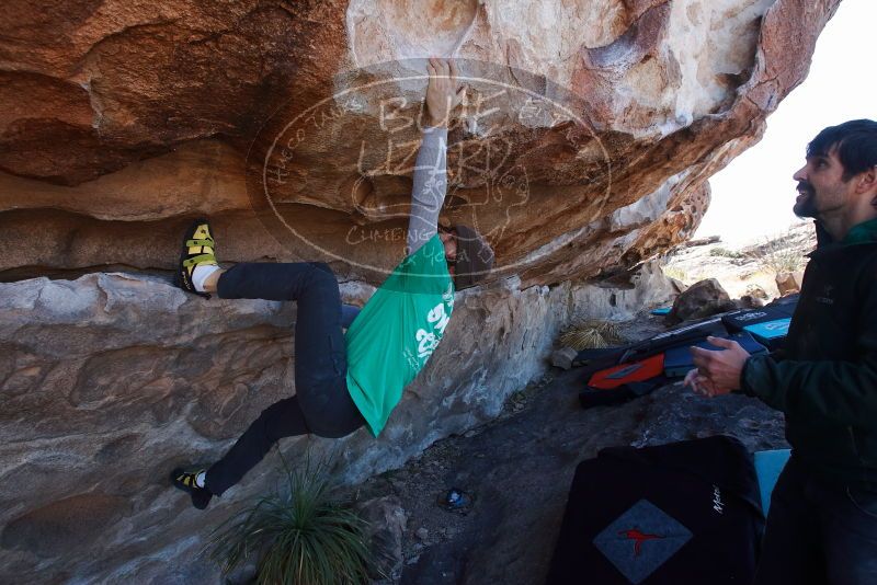 Bouldering in Hueco Tanks on 02/22/2019 with Blue Lizard Climbing and Yoga

Filename: SRM_20190222_1202310.jpg
Aperture: f/7.1
Shutter Speed: 1/250
Body: Canon EOS-1D Mark II
Lens: Canon EF 16-35mm f/2.8 L