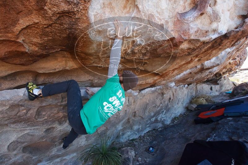 Bouldering in Hueco Tanks on 02/22/2019 with Blue Lizard Climbing and Yoga

Filename: SRM_20190222_1203310.jpg
Aperture: f/6.3
Shutter Speed: 1/250
Body: Canon EOS-1D Mark II
Lens: Canon EF 16-35mm f/2.8 L