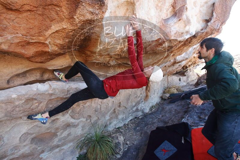 Bouldering in Hueco Tanks on 02/22/2019 with Blue Lizard Climbing and Yoga

Filename: SRM_20190222_1223020.jpg
Aperture: f/6.3
Shutter Speed: 1/250
Body: Canon EOS-1D Mark II
Lens: Canon EF 16-35mm f/2.8 L