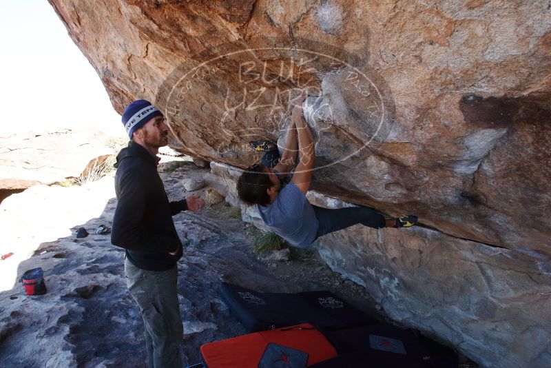 Bouldering in Hueco Tanks on 02/22/2019 with Blue Lizard Climbing and Yoga

Filename: SRM_20190222_1229000.jpg
Aperture: f/9.0
Shutter Speed: 1/250
Body: Canon EOS-1D Mark II
Lens: Canon EF 16-35mm f/2.8 L