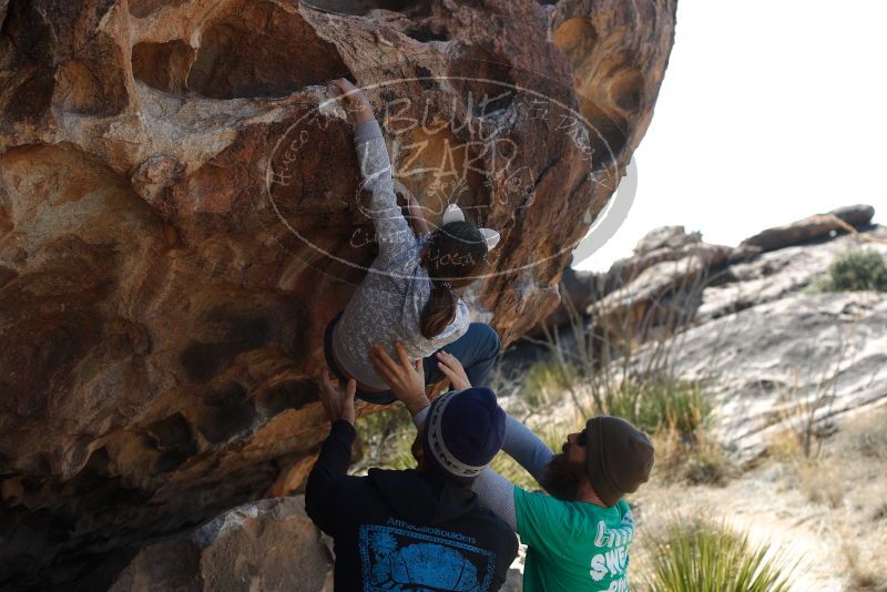 Bouldering in Hueco Tanks on 02/22/2019 with Blue Lizard Climbing and Yoga

Filename: SRM_20190222_1239040.jpg
Aperture: f/4.0
Shutter Speed: 1/250
Body: Canon EOS-1D Mark II
Lens: Canon EF 50mm f/1.8 II