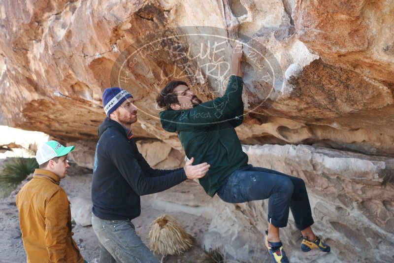 Bouldering in Hueco Tanks on 02/22/2019 with Blue Lizard Climbing and Yoga

Filename: SRM_20190222_1259040.jpg
Aperture: f/4.5
Shutter Speed: 1/250
Body: Canon EOS-1D Mark II
Lens: Canon EF 50mm f/1.8 II