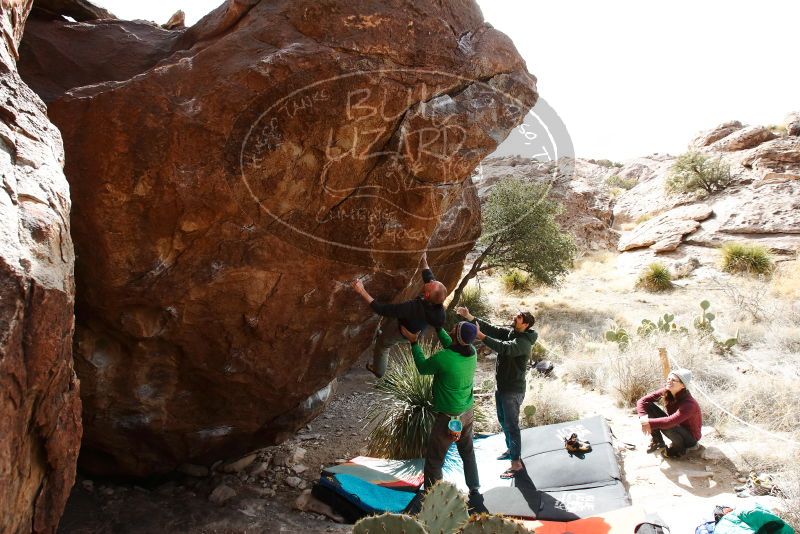 Bouldering in Hueco Tanks on 02/22/2019 with Blue Lizard Climbing and Yoga

Filename: SRM_20190222_1527500.jpg
Aperture: f/7.1
Shutter Speed: 1/250
Body: Canon EOS-1D Mark II
Lens: Canon EF 16-35mm f/2.8 L