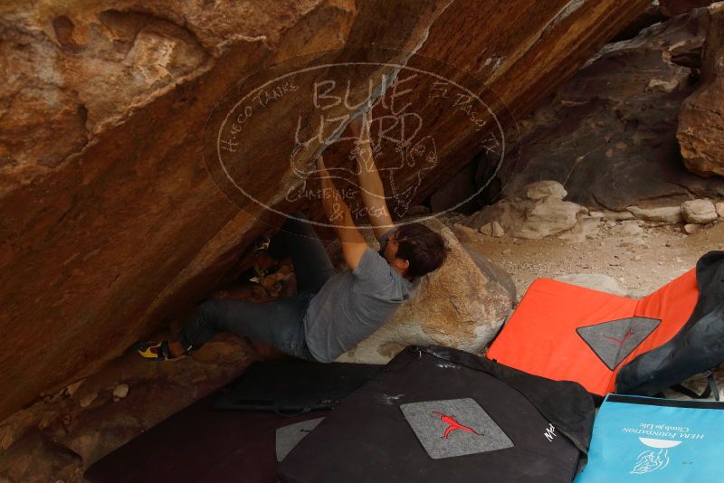 Bouldering in Hueco Tanks on 02/22/2019 with Blue Lizard Climbing and Yoga

Filename: SRM_20190222_1649390.jpg
Aperture: f/5.0
Shutter Speed: 1/320
Body: Canon EOS-1D Mark II
Lens: Canon EF 16-35mm f/2.8 L