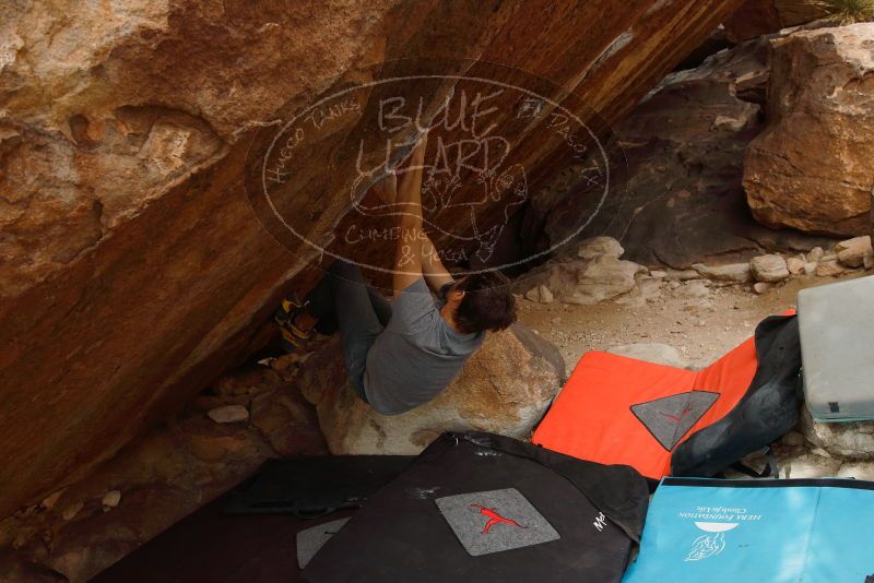 Bouldering in Hueco Tanks on 02/22/2019 with Blue Lizard Climbing and Yoga

Filename: SRM_20190222_1649430.jpg
Aperture: f/5.0
Shutter Speed: 1/320
Body: Canon EOS-1D Mark II
Lens: Canon EF 16-35mm f/2.8 L