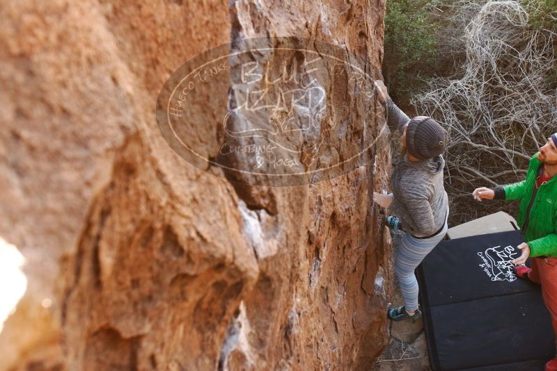 Bouldering in Hueco Tanks on 02/24/2019 with Blue Lizard Climbing and Yoga

Filename: SRM_20190224_1050140.jpg
Aperture: f/4.0
Shutter Speed: 1/250
Body: Canon EOS-1D Mark II
Lens: Canon EF 16-35mm f/2.8 L