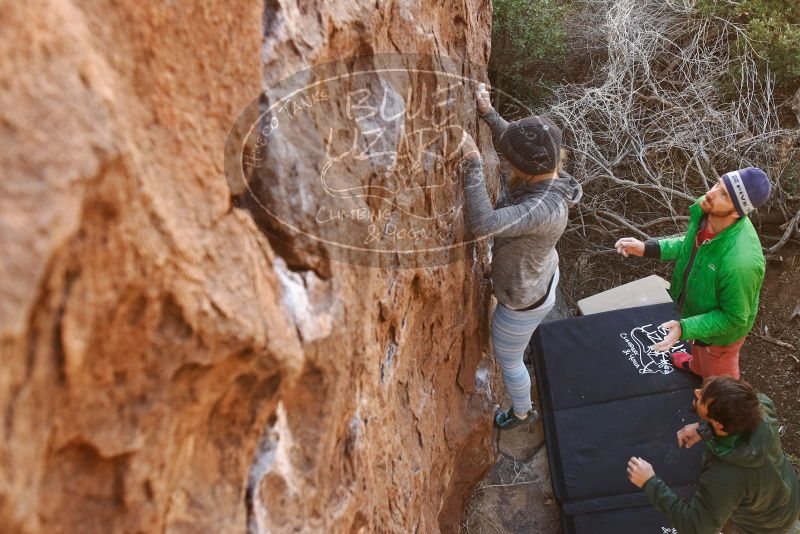 Bouldering in Hueco Tanks on 02/24/2019 with Blue Lizard Climbing and Yoga

Filename: SRM_20190224_1050150.jpg
Aperture: f/4.0
Shutter Speed: 1/200
Body: Canon EOS-1D Mark II
Lens: Canon EF 16-35mm f/2.8 L